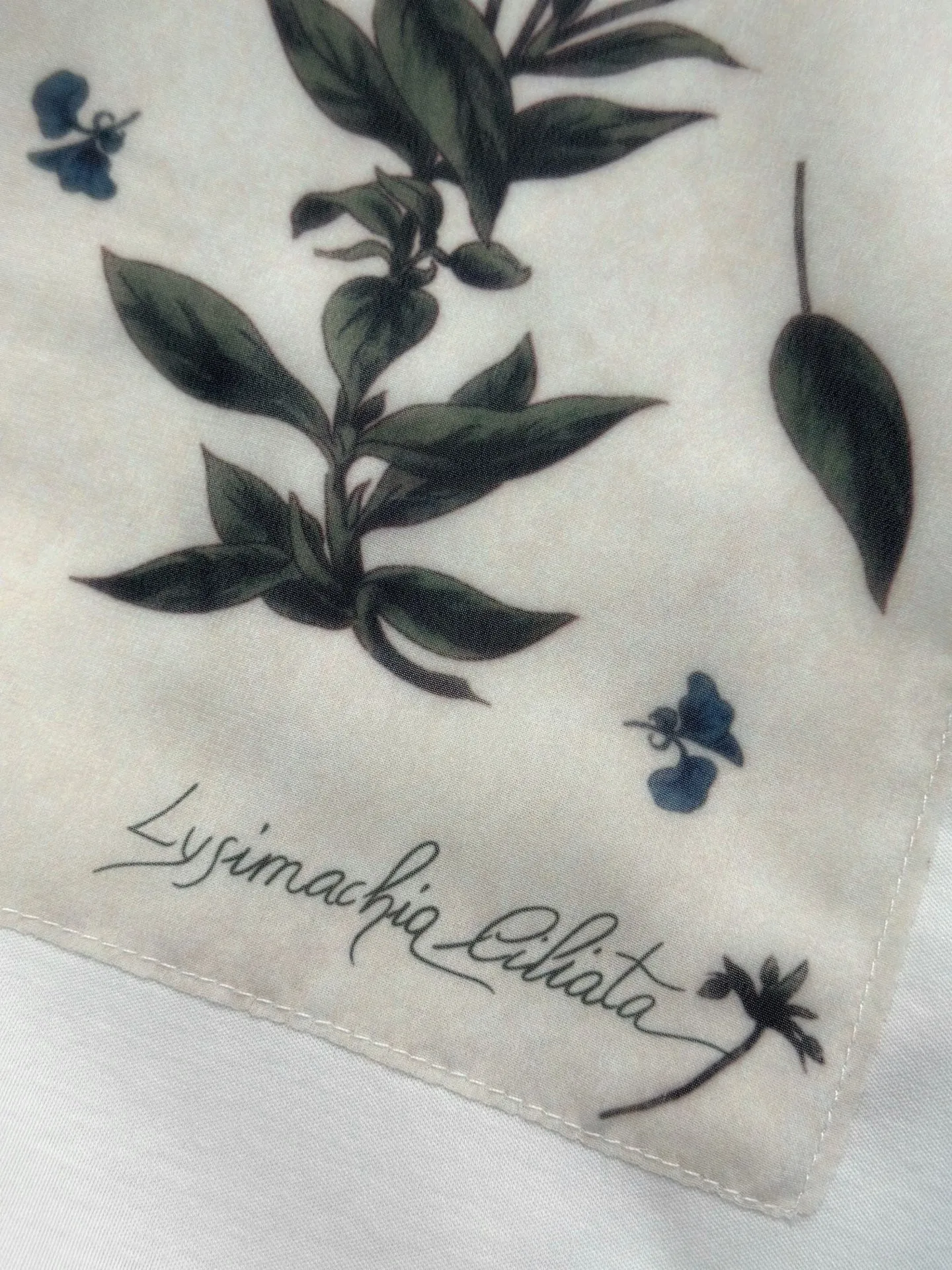 MAX MARA Женская футболка с принтом MAX MARA Женская футболка с принтом