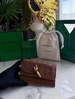 BOTTEGA VENETA Женский кошелек Andiamo в коричневом оттенке