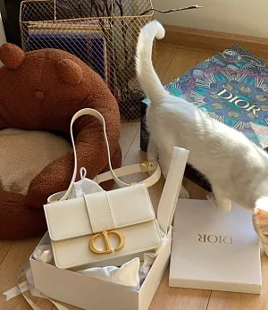 CHRISTIAN DIOR Женская сумка 30 Montaigne из хромированной телячьей кожи