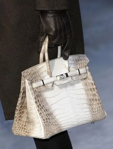 HERMES Женская сумка Birkin 25 см Himalaya Niloticus