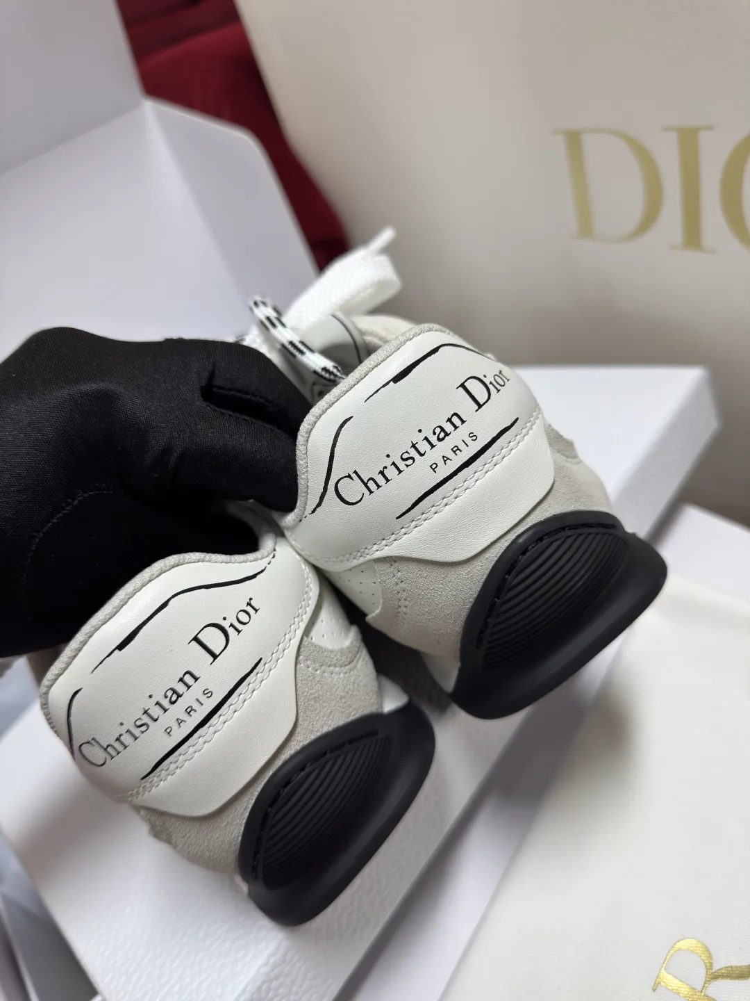  CHRISTIAN DIOR Кроссовки женские D-Sketch
