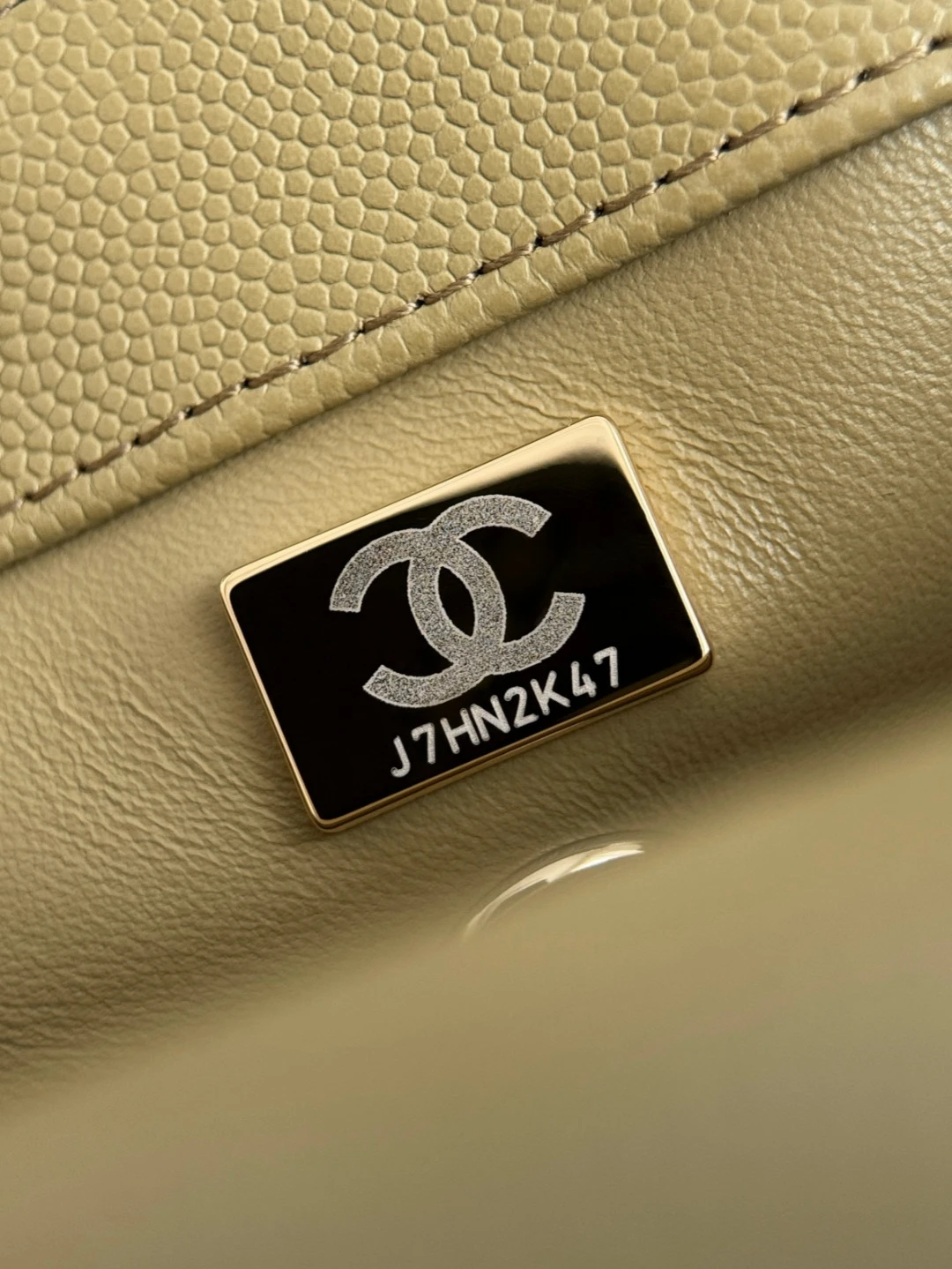 CHANEL Женская сумка Coco Handle с витой ручкой