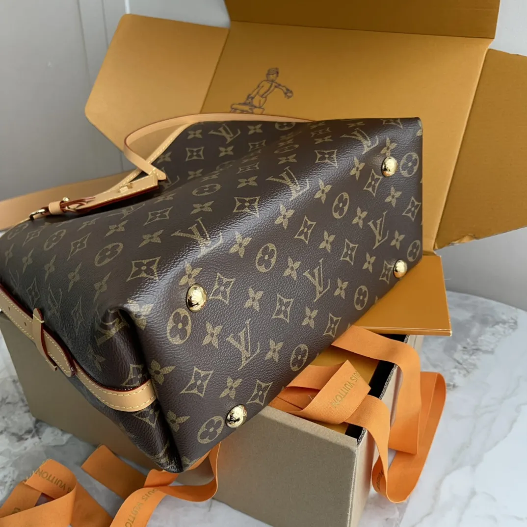 LOUIS VUITTON Женская сумка CarryAll PM М46203