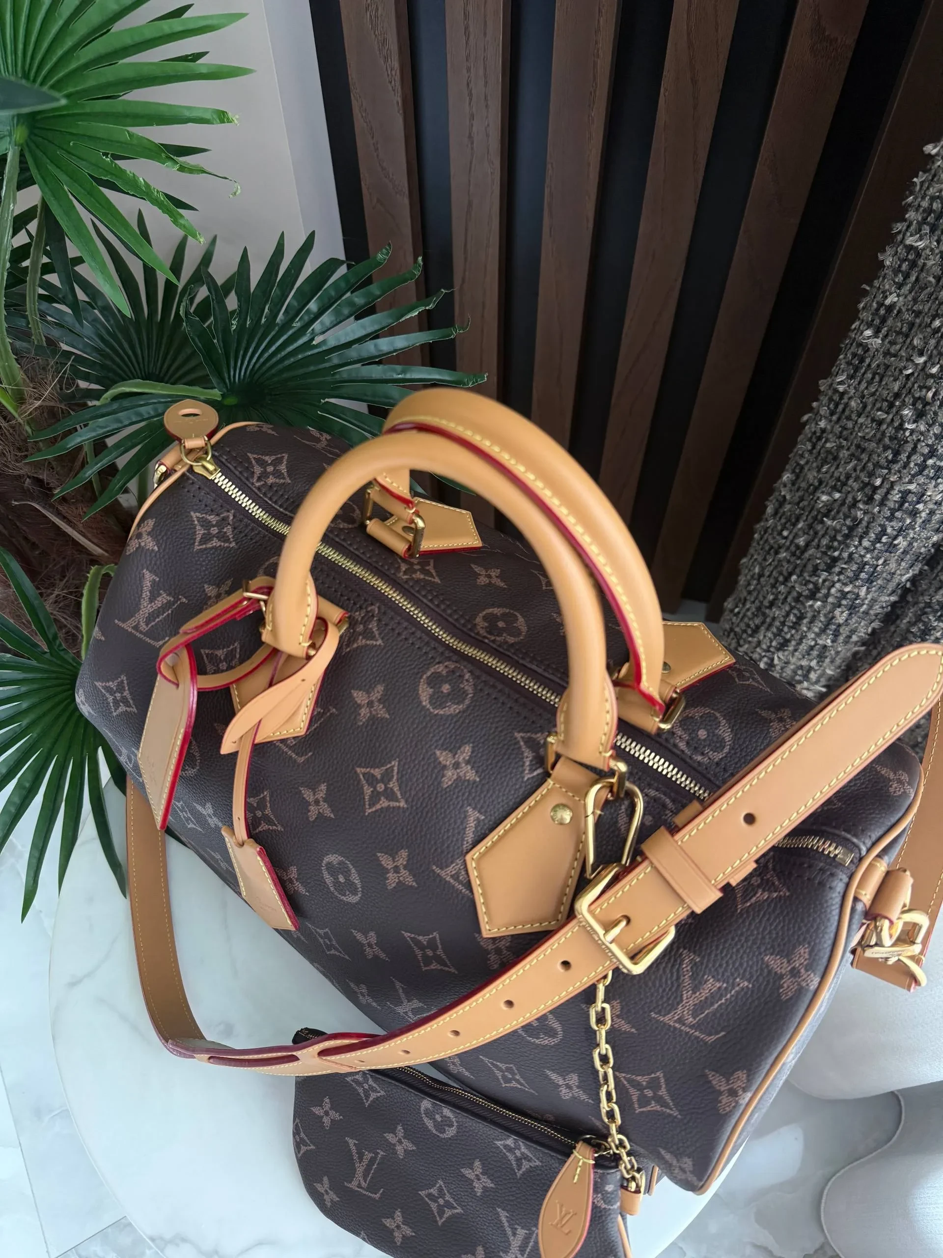 LOUIS VUITTON Дорожная сумка Speedy 40