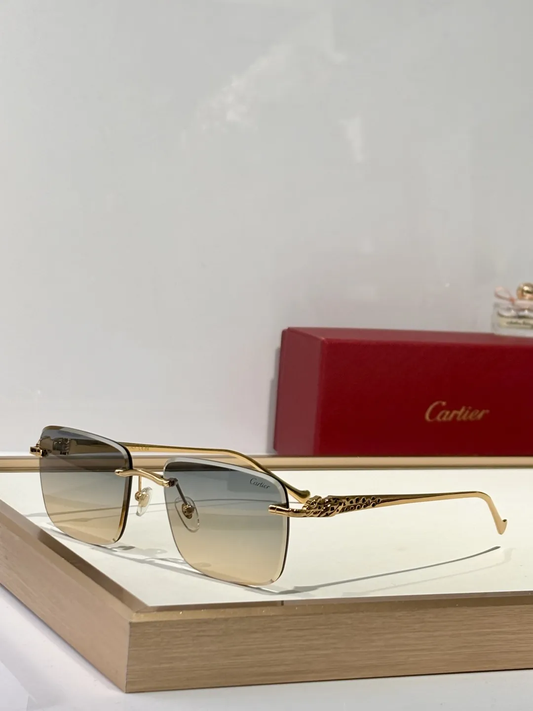 CARTIER Женские очки CT0479S