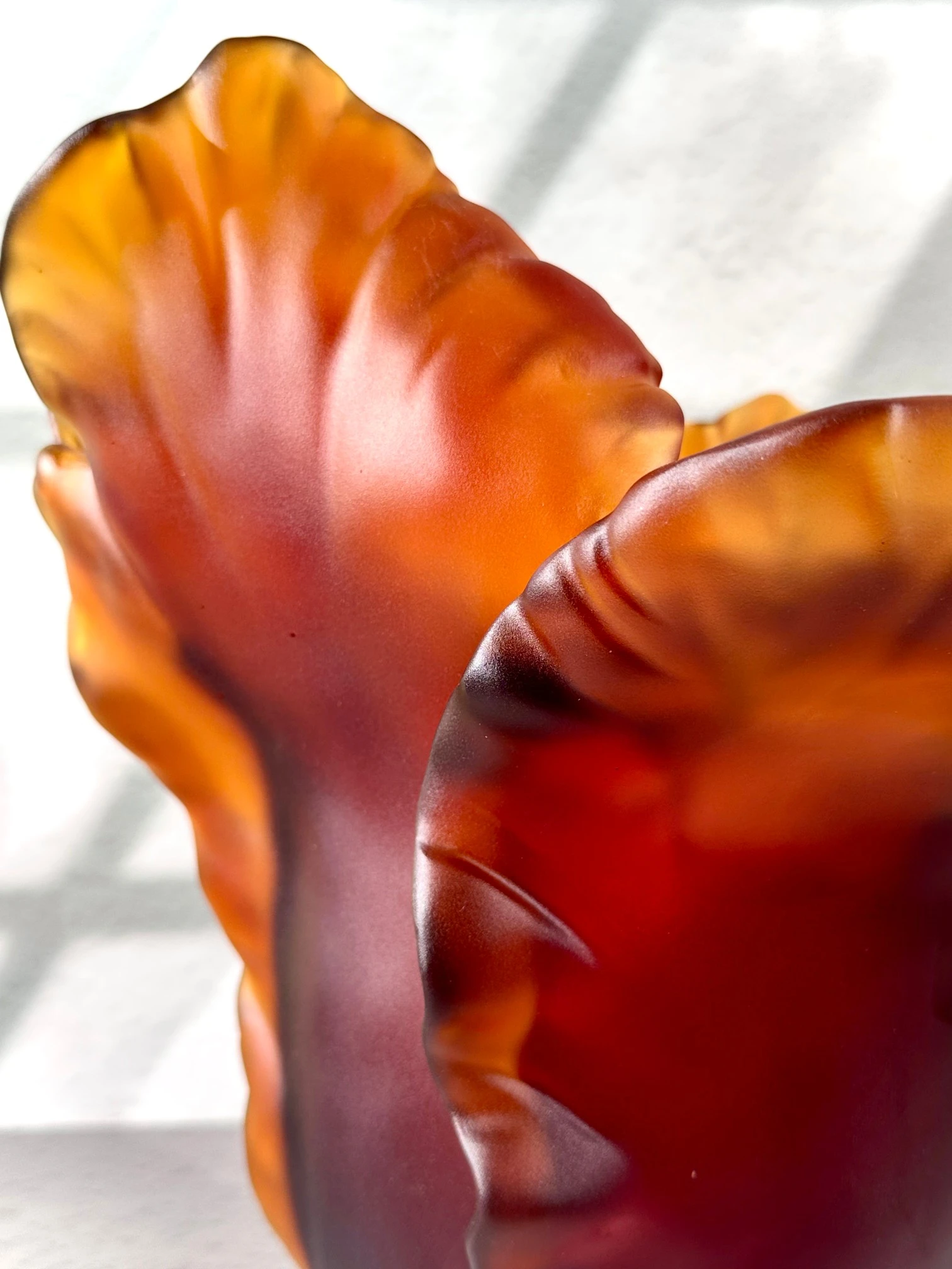 DAUM Ваза Coral Tulip