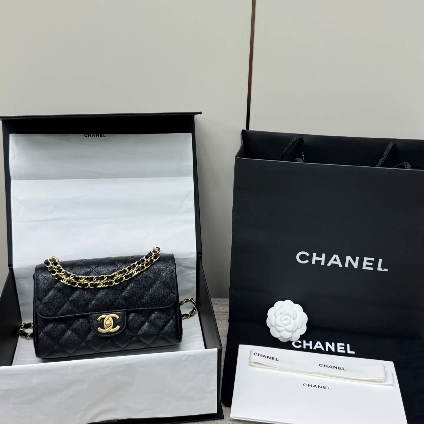 CHANEL Женская сумка 25P с двойной цепочкой