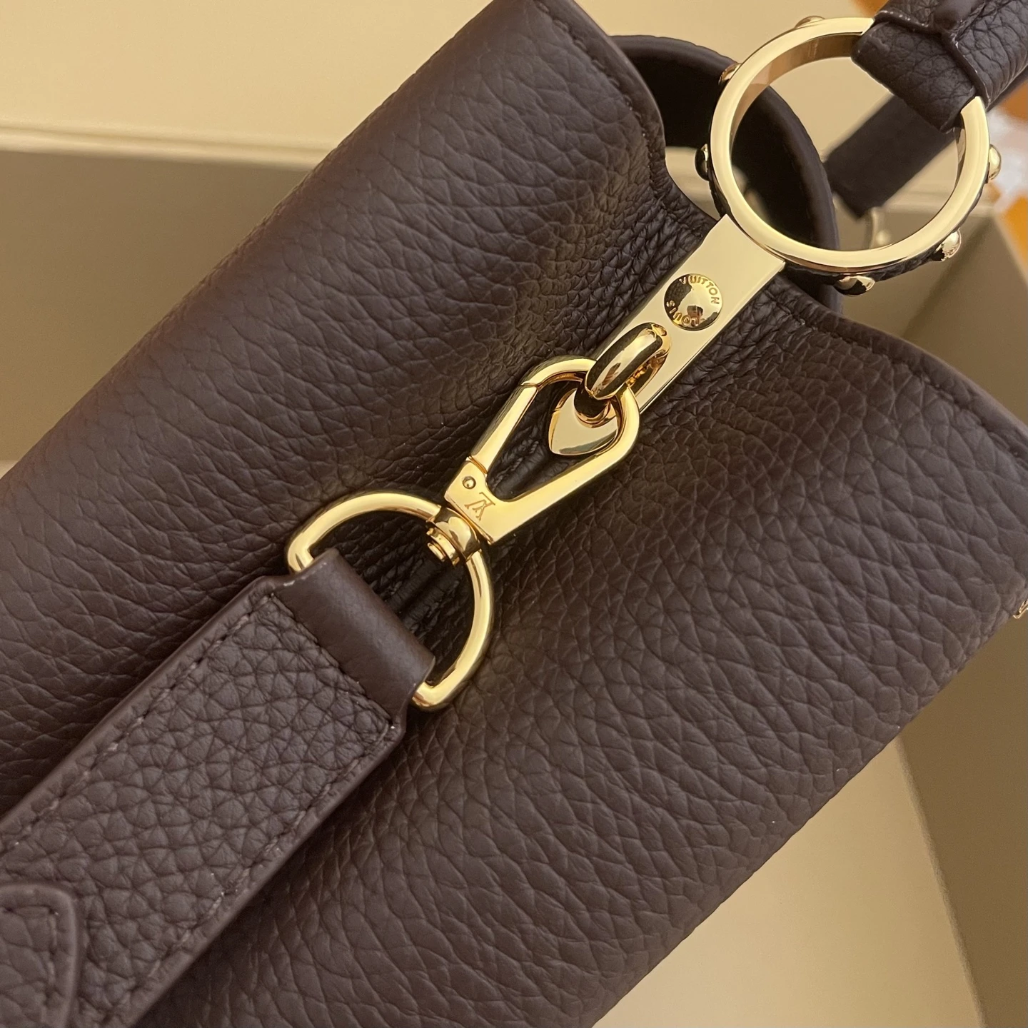 LOUIS VUITTON Женская Сумка Capucines с металлическими вставками