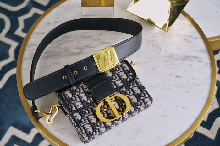 CHRISTIAN DIOR Женская сумка Box 30 Montaigne