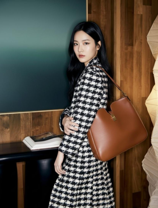 CELINE Женская сумка Camille 16 Soft