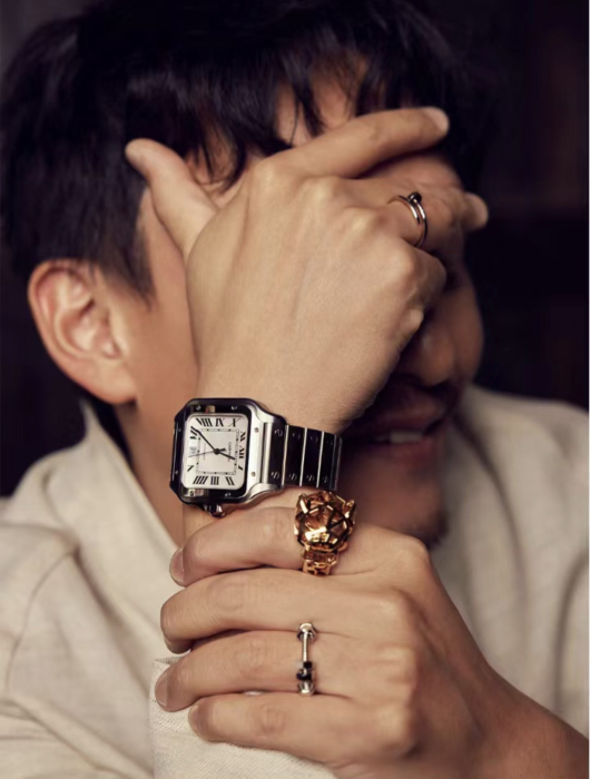 CARTIER Мужские часы Santos WSSA0018