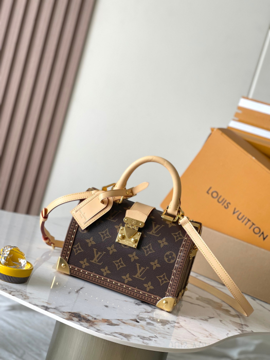 LOUIS VUITTON Женская сумка Speedy Trunk 20 Monogram M11154