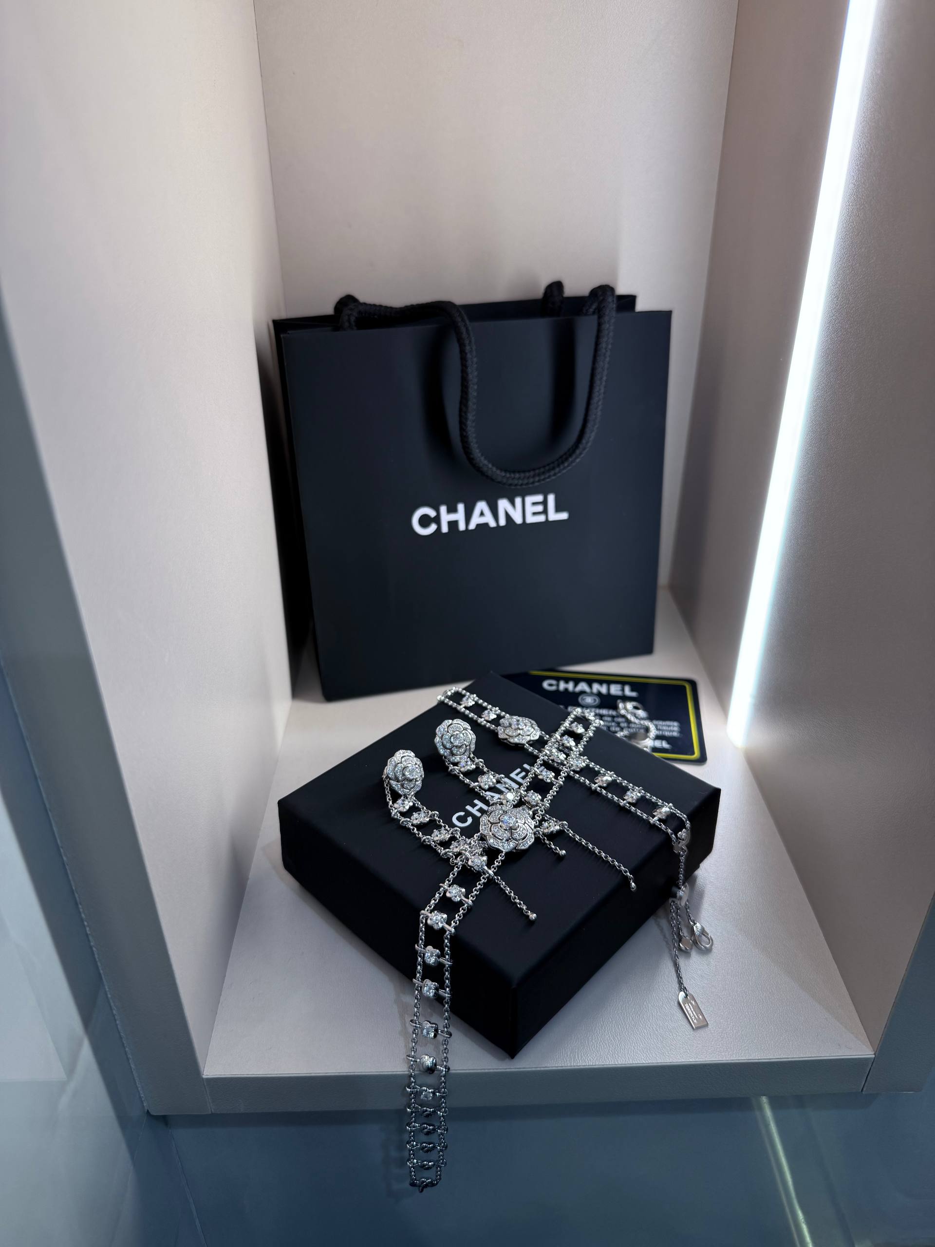 СHANEL Женские серьги и Колье СHANEL Женские серьги и Колье