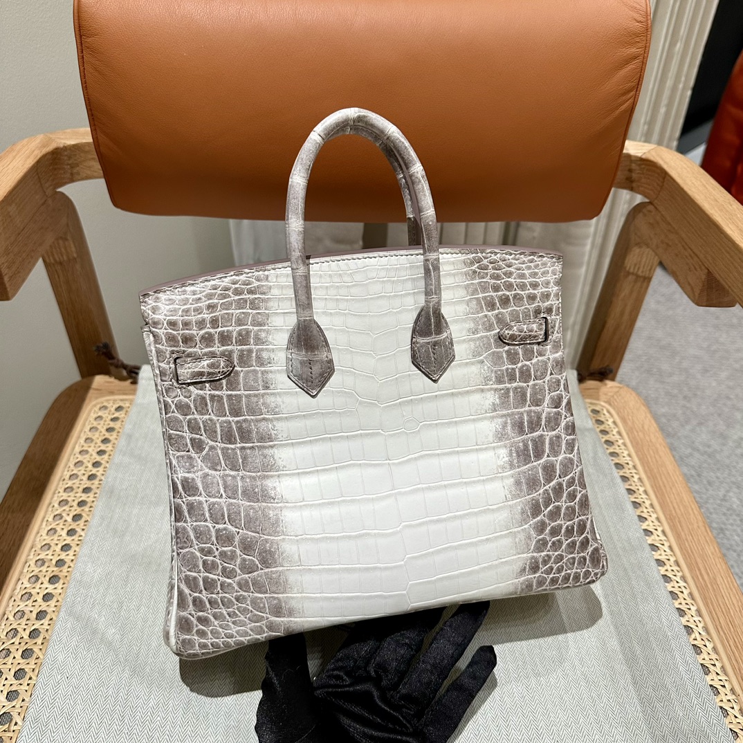 HERMES Женская сумка Birkin 25 см Himalaya Niloticus HERMES Женская сумка Birkin 25 см Himalaya Niloticus