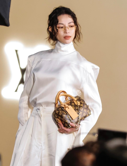 LOUIS VUITTON Женская сумка Speedy Trunk 20