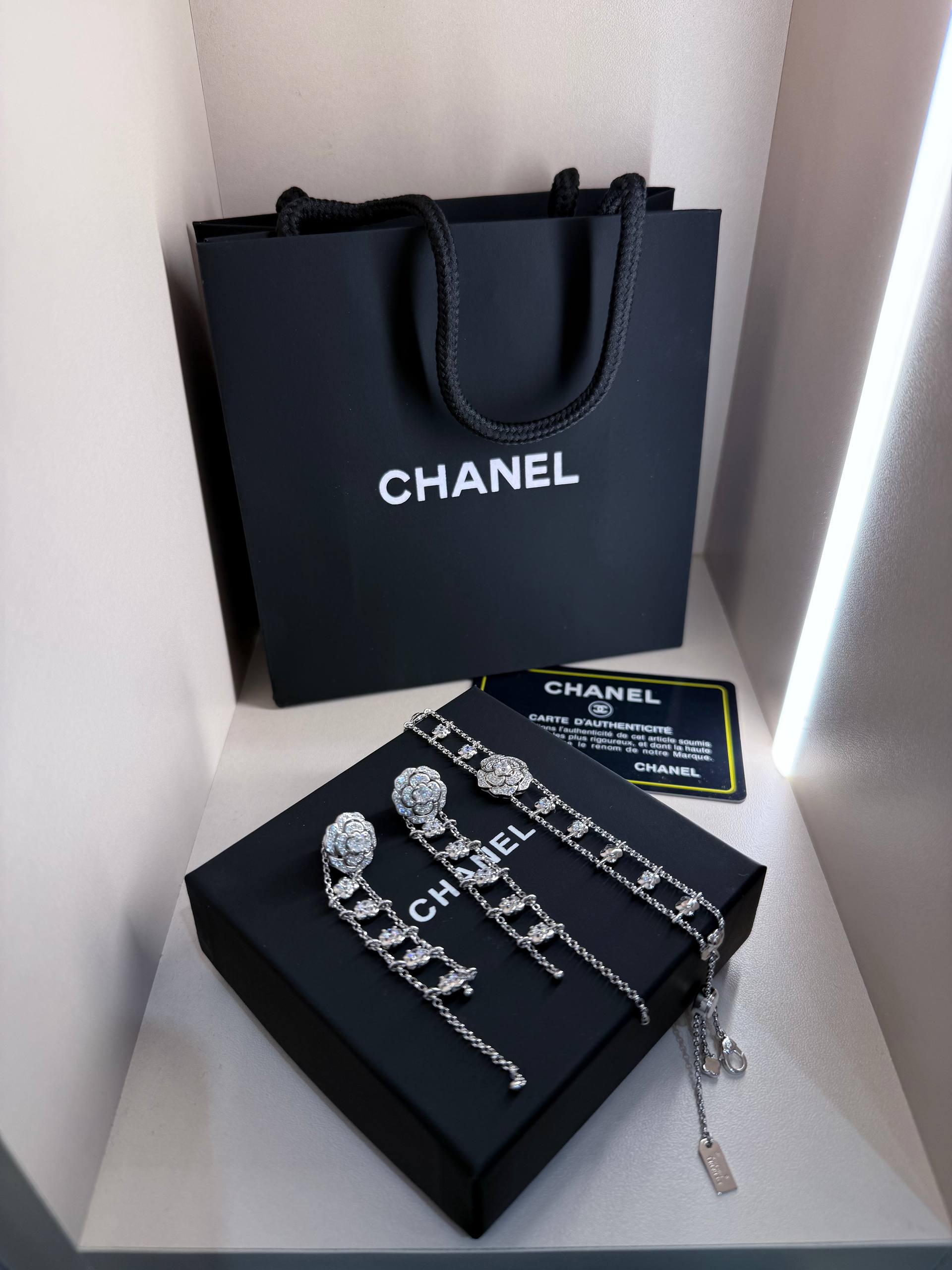 СHANEL Женские серьги и Колье СHANEL Женские серьги и Колье