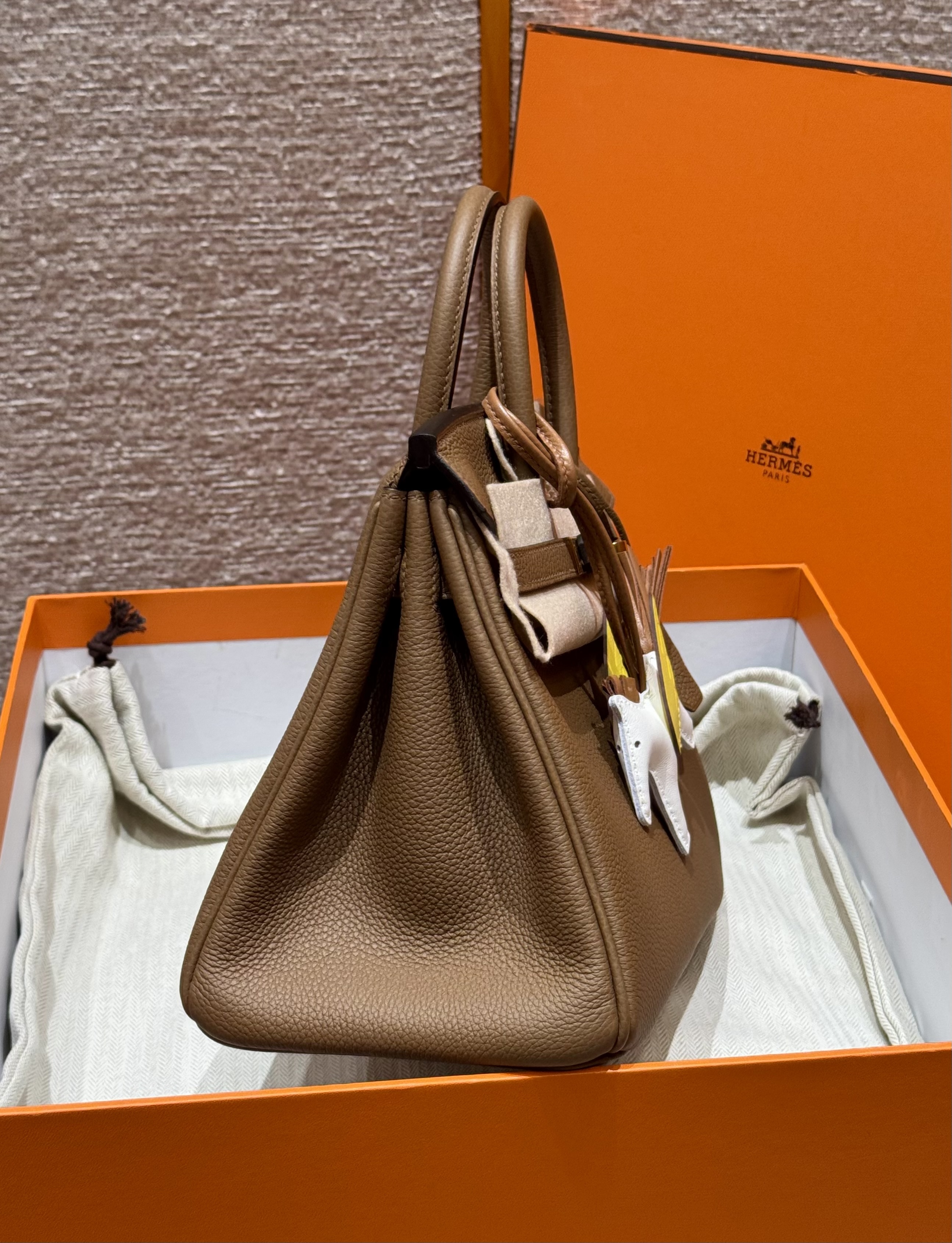 HERMES Женская сумка Birkin 25 см 3G Togo HERMES Женская сумка Birkin 25 см 3G Togo